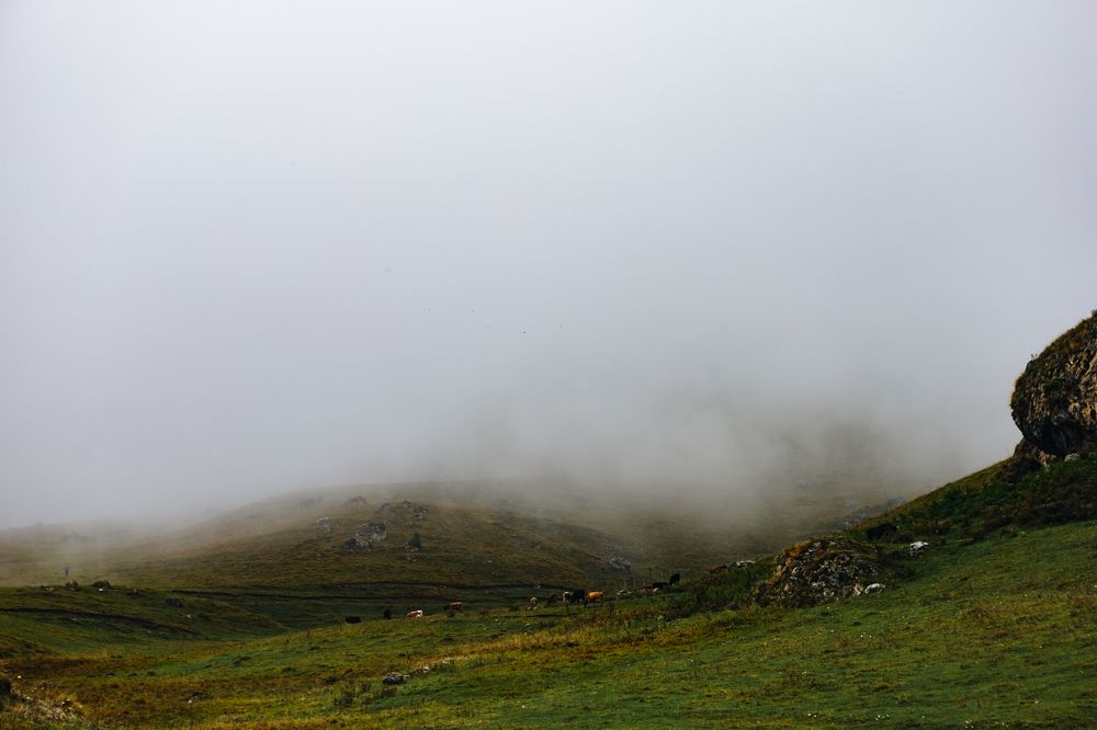 Photograph by Юлия Осипова