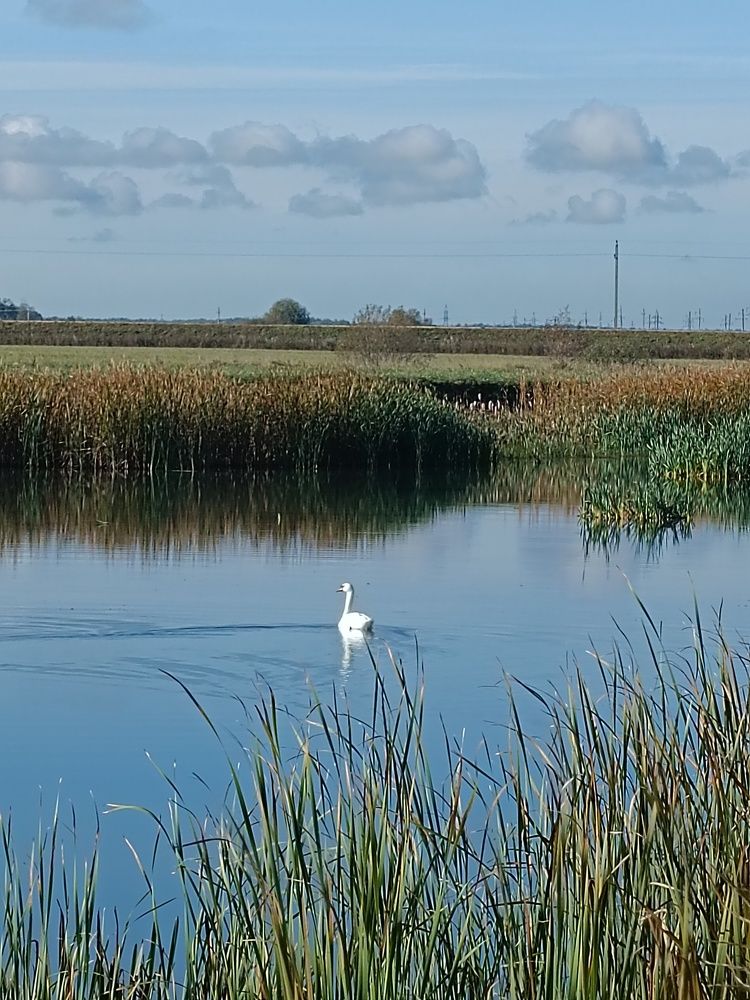 Photograph by Елена Пархоменко