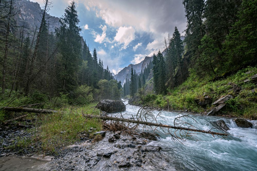 Photograph by Борис Недосеков