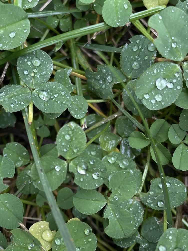 Photograph by Екатерина Мирошникова