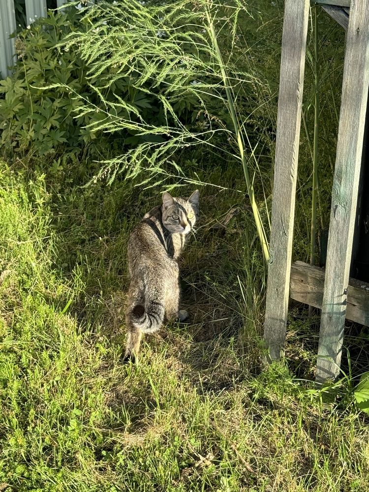 Photograph by Екатерина Мирошникова