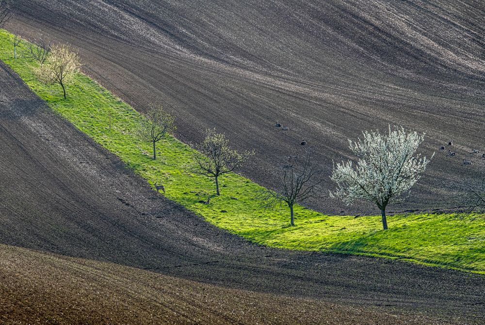 Photograph by ПАВЕЛ