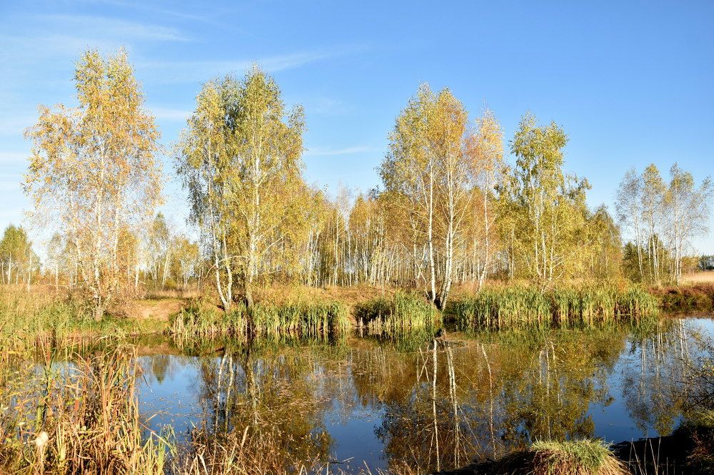 Photograph by Dimon Grinih