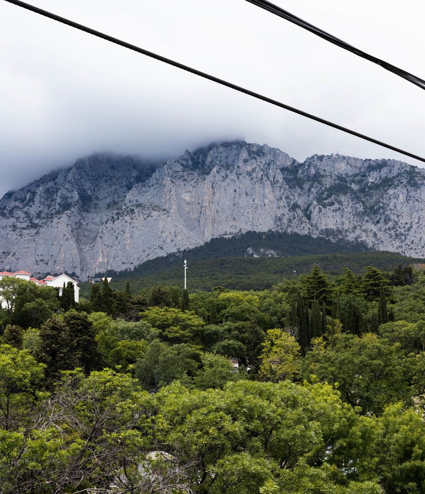 Фотография автора Yuliya Miller