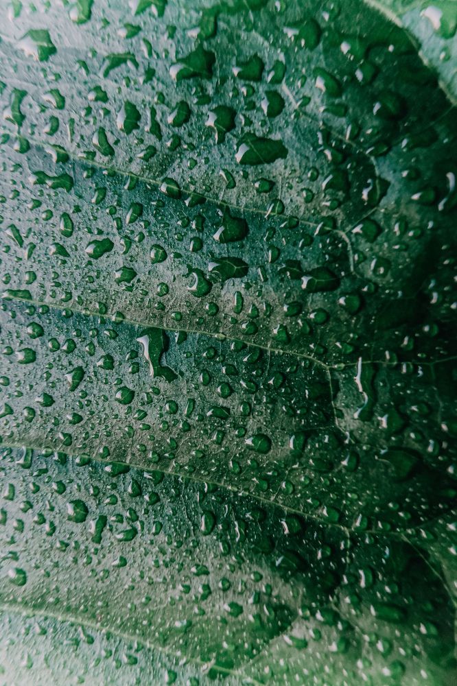 Photograph by Екатерина Бердутина