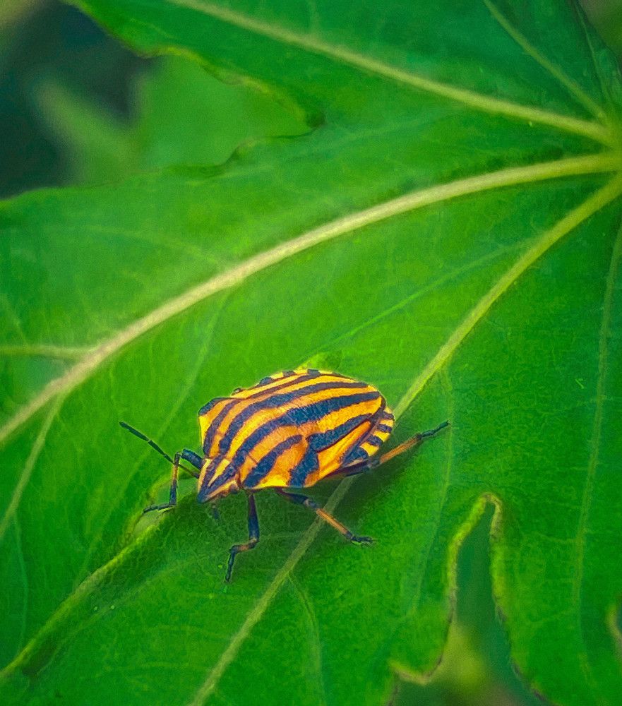 Photograph by Ольга Скиба