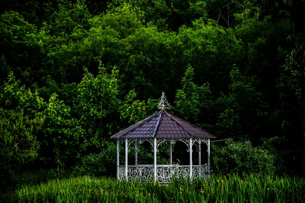 Photograph by Павел