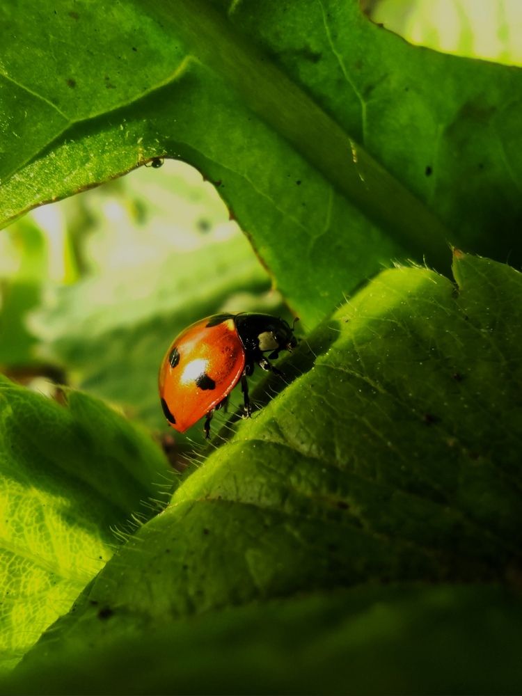 Photograph by Анна Михайловна