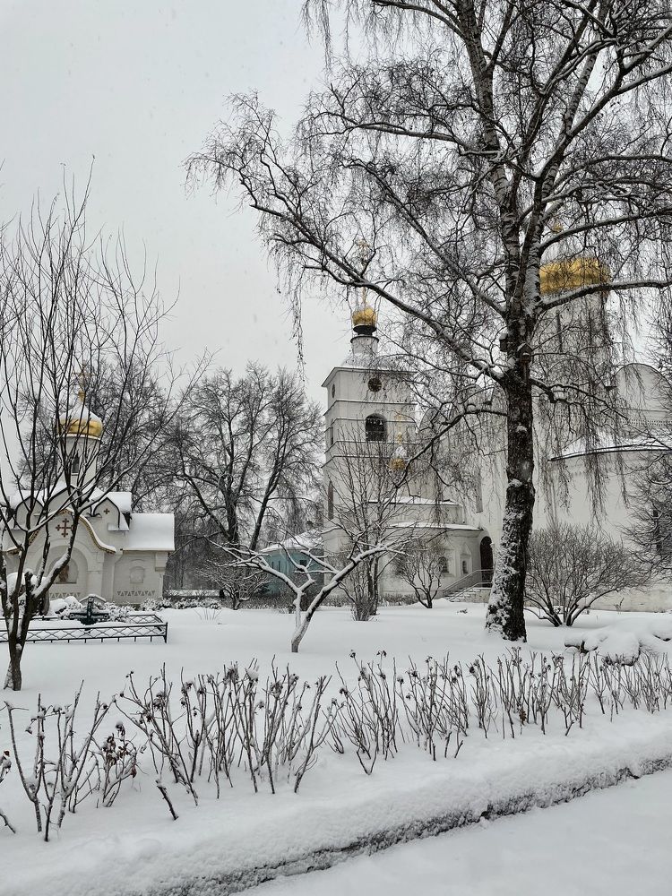 Photograph by Юлия Давшан