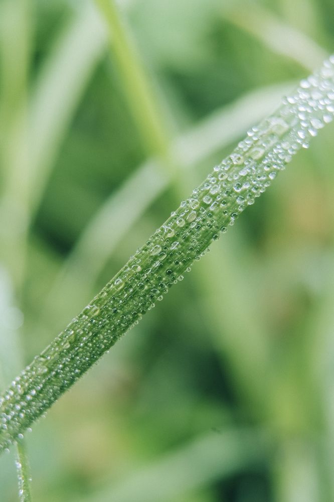 Photograph by Екатерина Бердутина