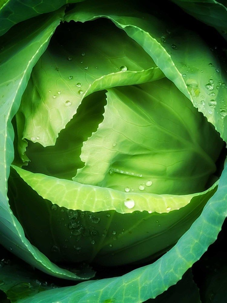 Photograph by Сергей Назаредский