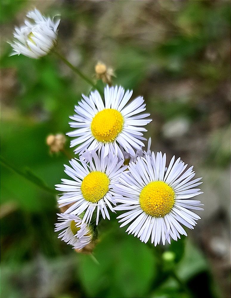 Photograph by Ольга Тихонова