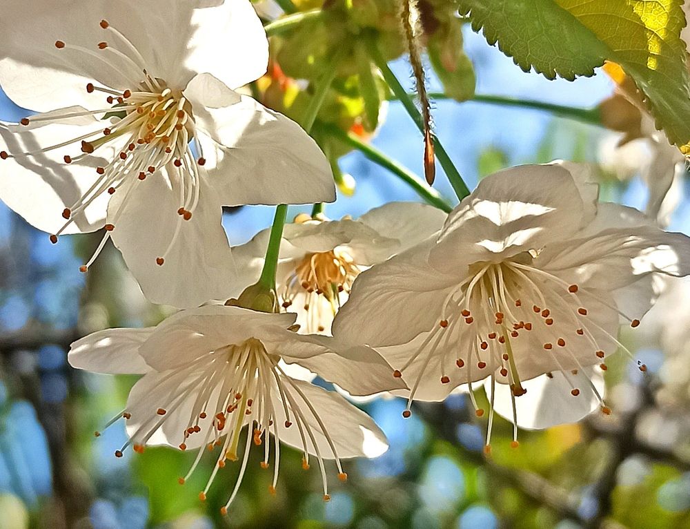 Photograph by Ольга Тихонова