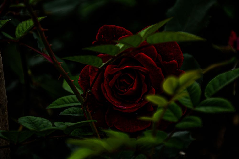 Photograph by Павел