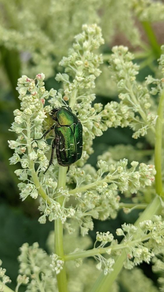 Фотография автора Васильева Ирина