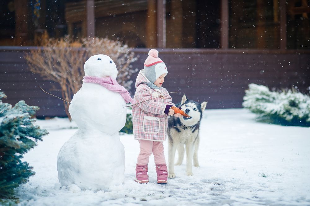 Фотография автора Виктория Головнич