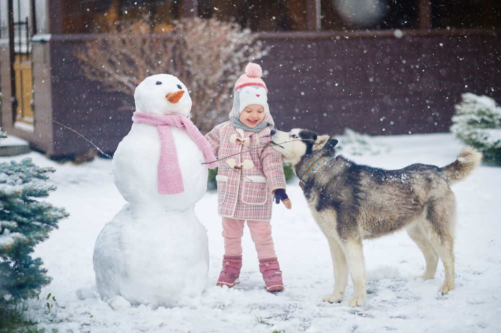 Фотография автора Виктория Головнич