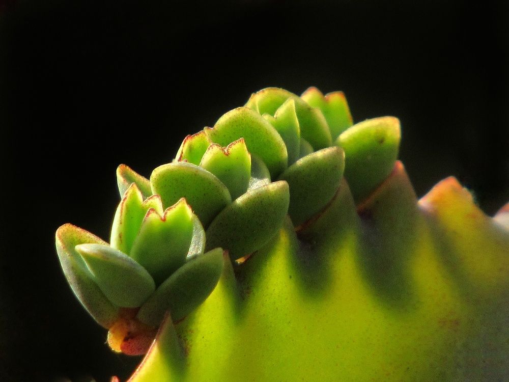 Фотография автора Paula Torrent