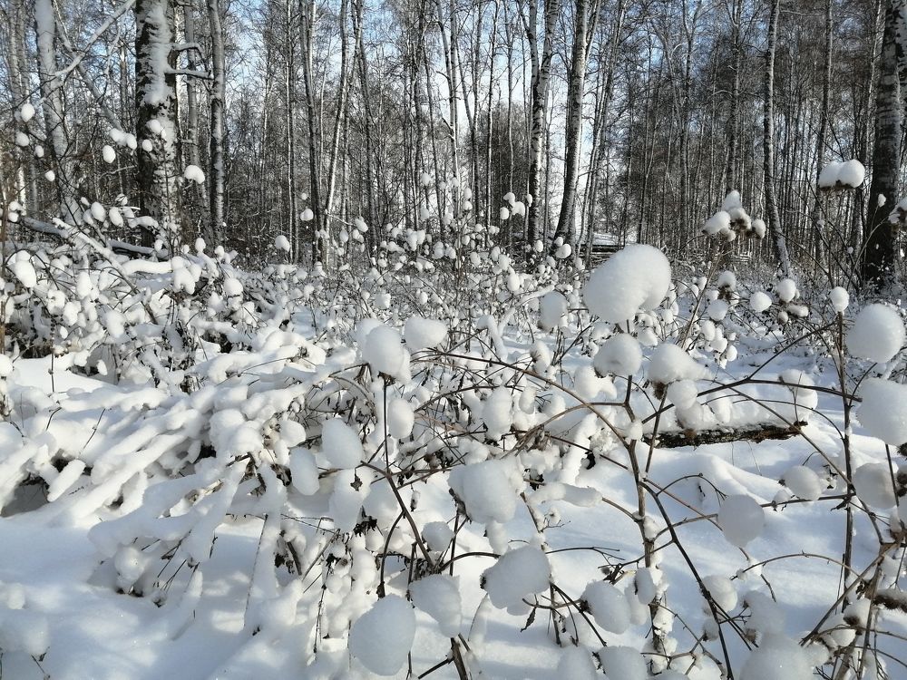 Photograph by Галина Попова