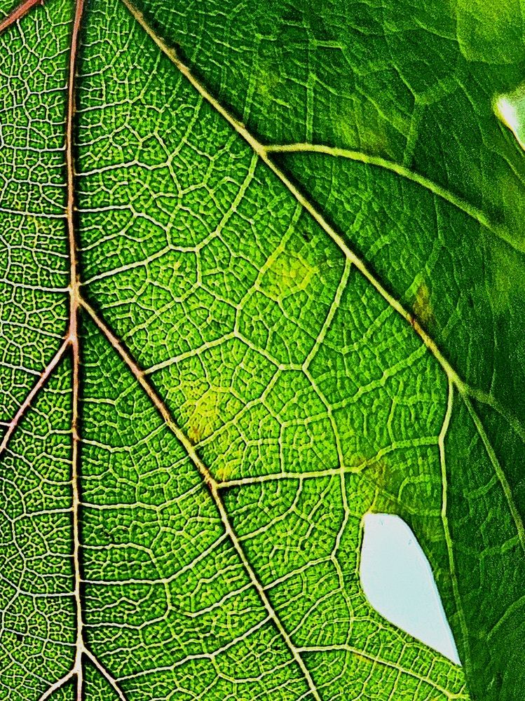 Фотография автора Paula Torrent