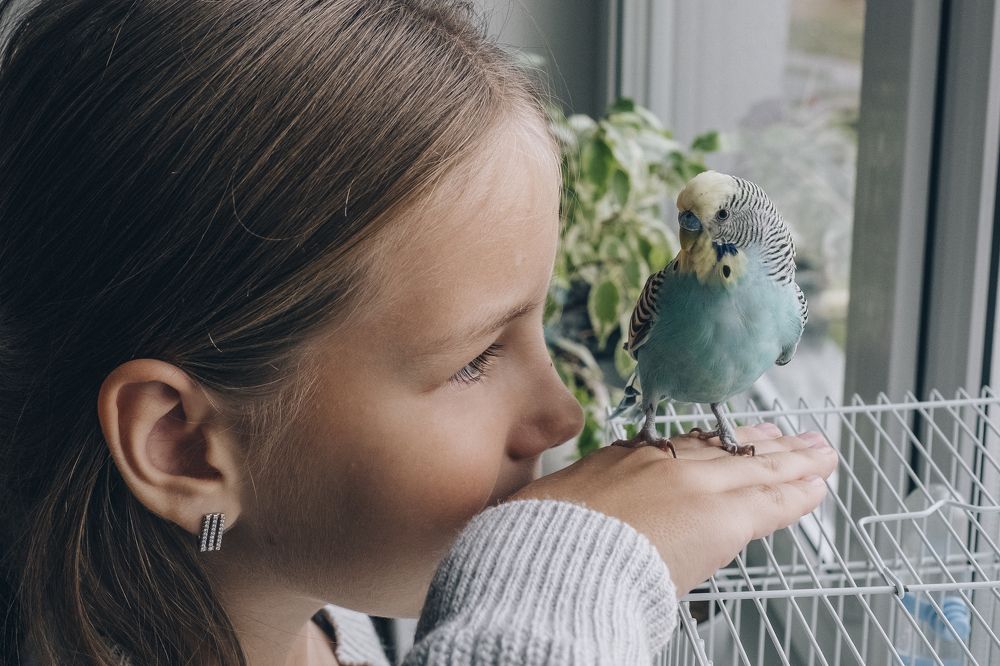 Photograph by Екатерина Бердутина