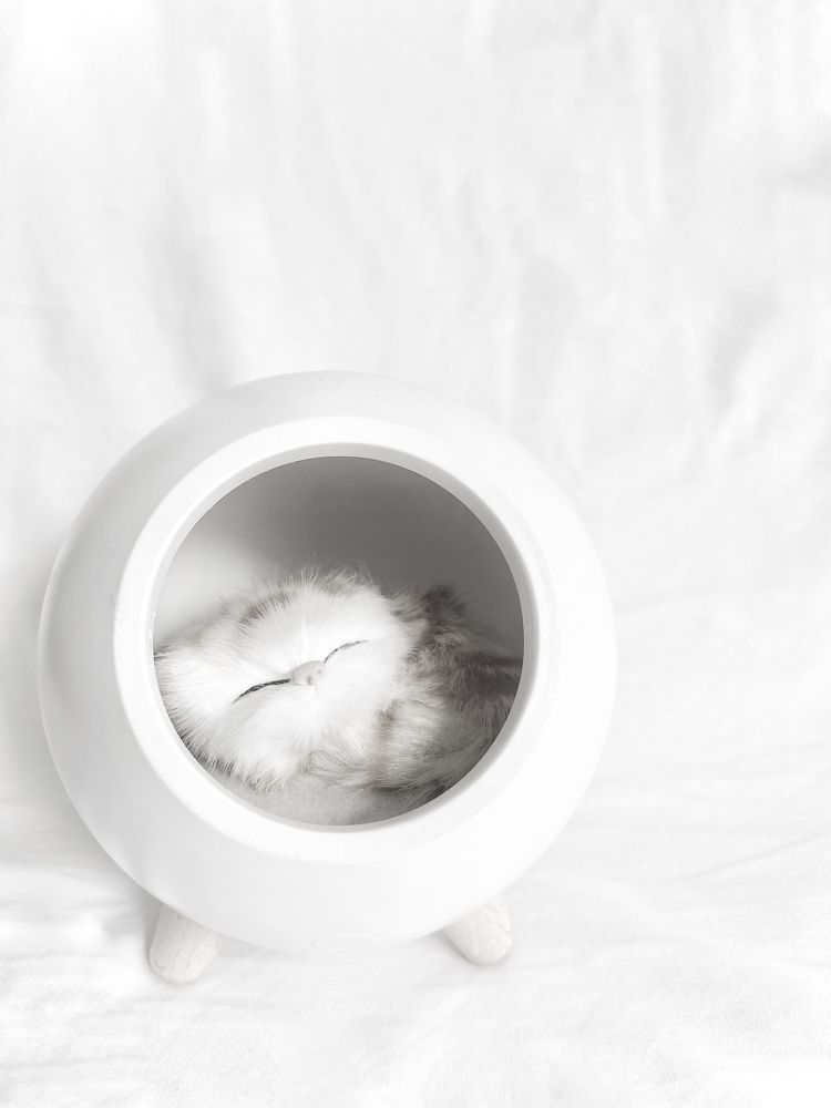 Photograph by Оксана