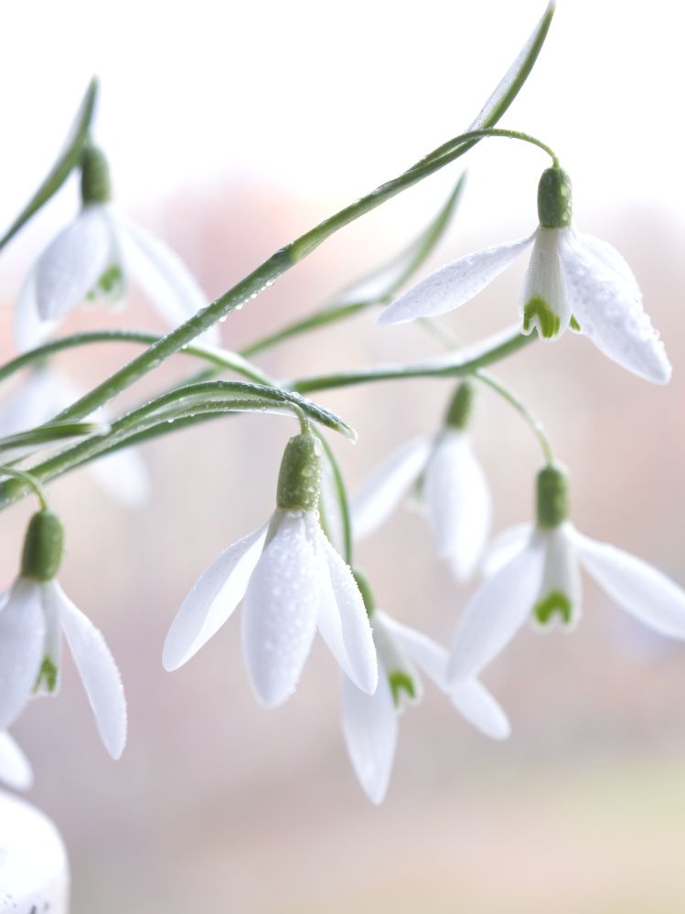 Photograph by Дина Полухина