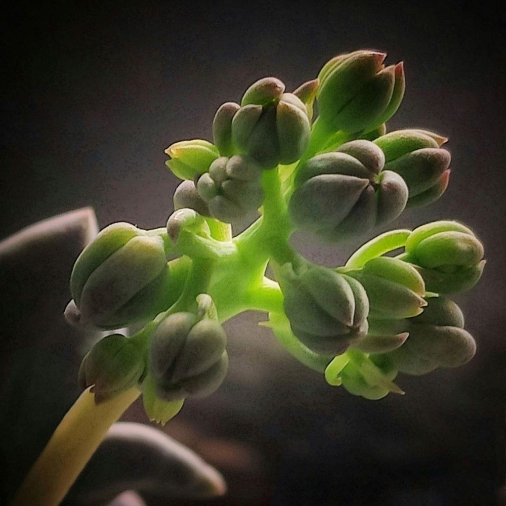 Photograph by Надежда