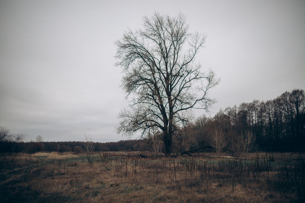 Photograph by Елена Копылова