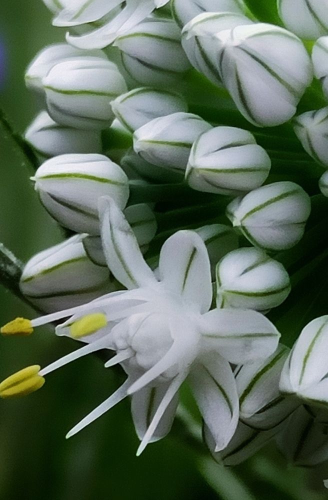 Photograph by Ольга Мартьянова