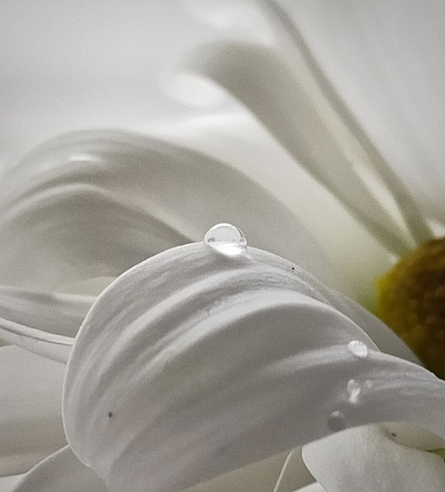 Photograph by Ольга Мартьянова