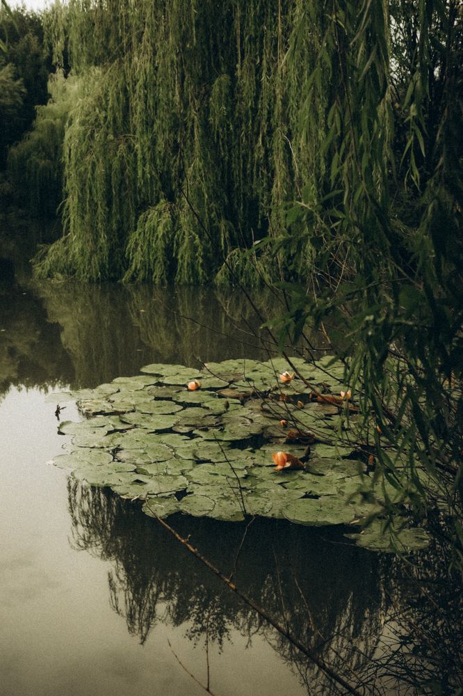 Photograph by Татьяна Александрова