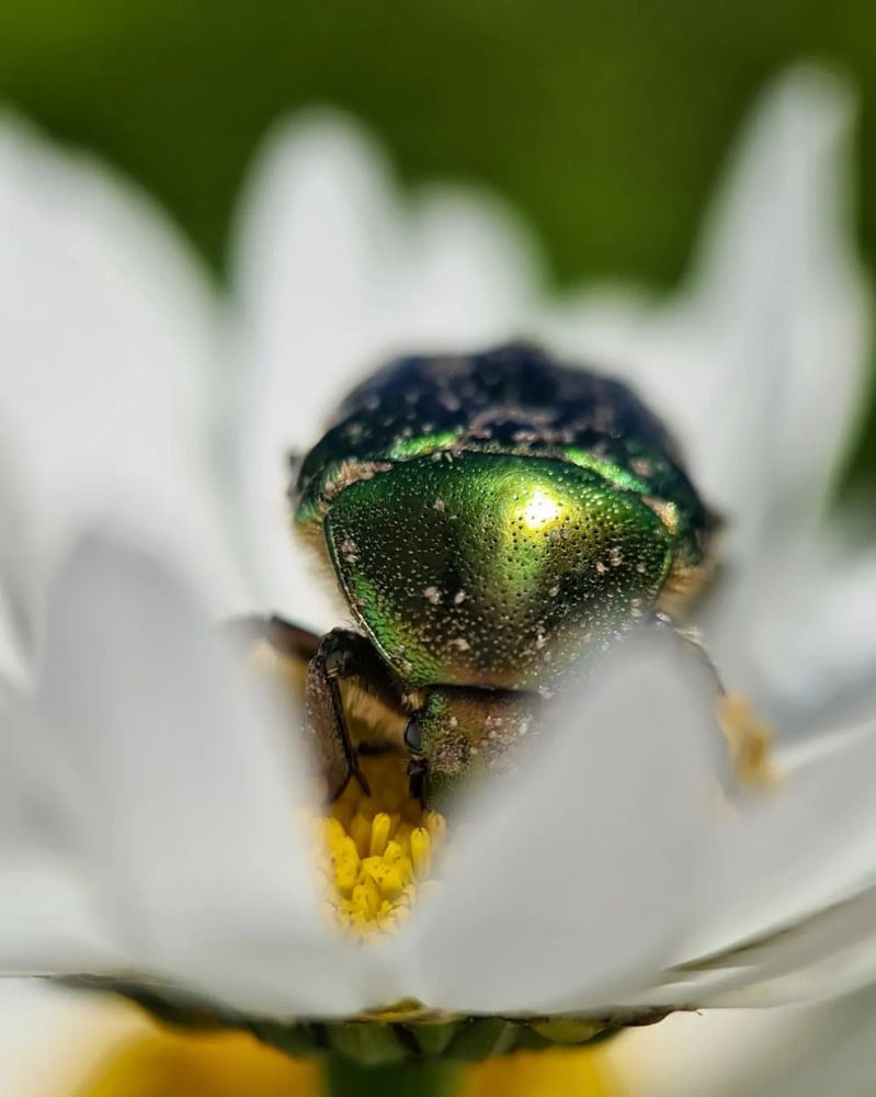 Photograph by Светлана Смирнова