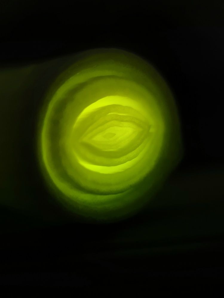 Photograph by Светлана Смирнова