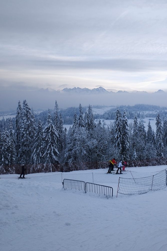 Photo #11378784