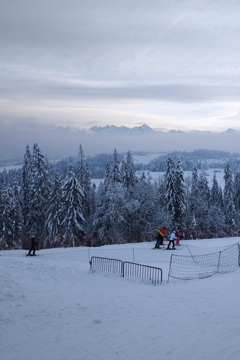 Photo #11378784