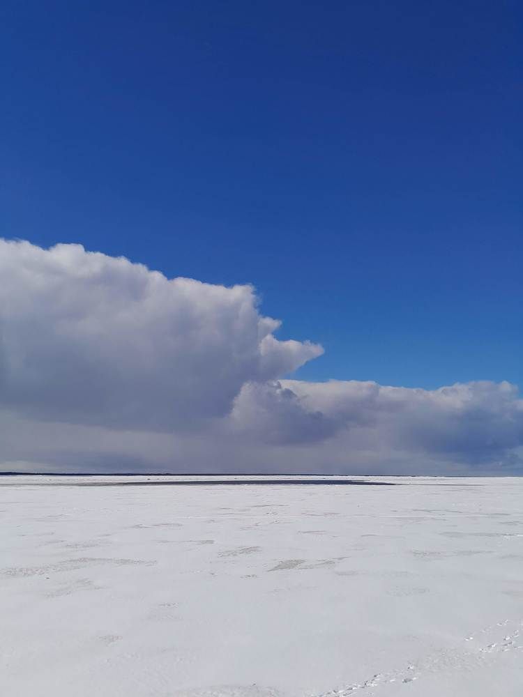 Photograph by Виталий