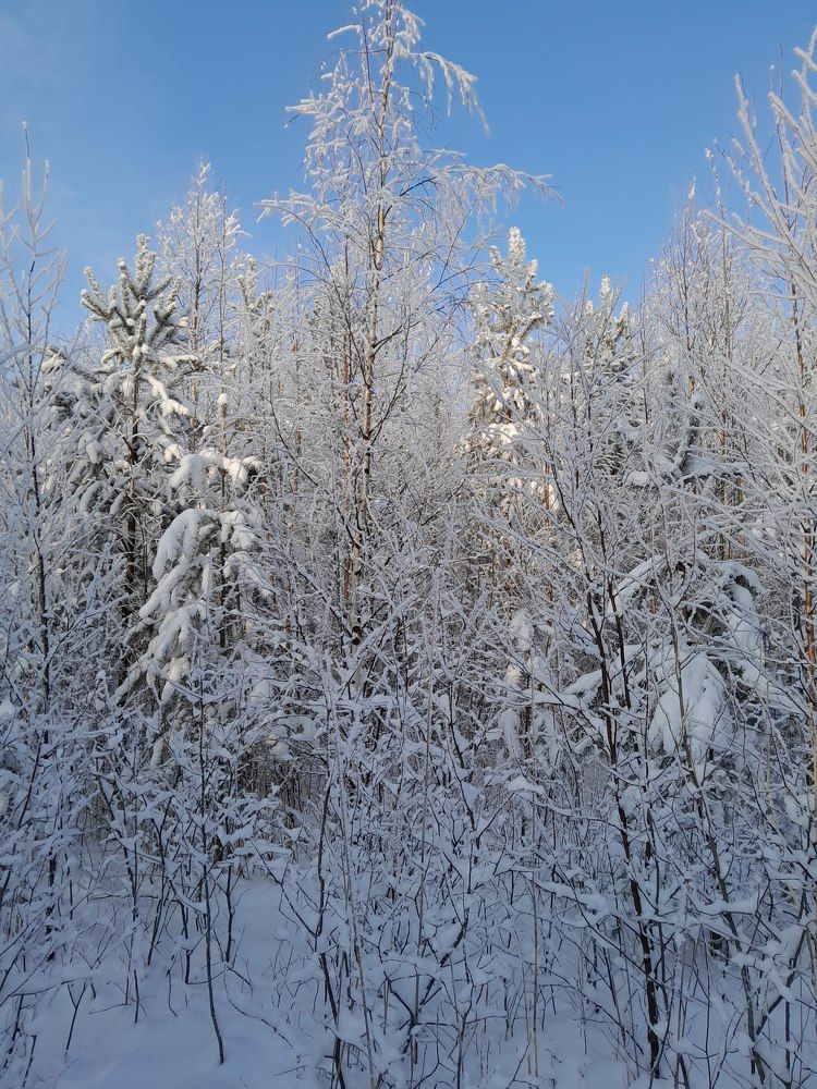 Photograph by Виталий