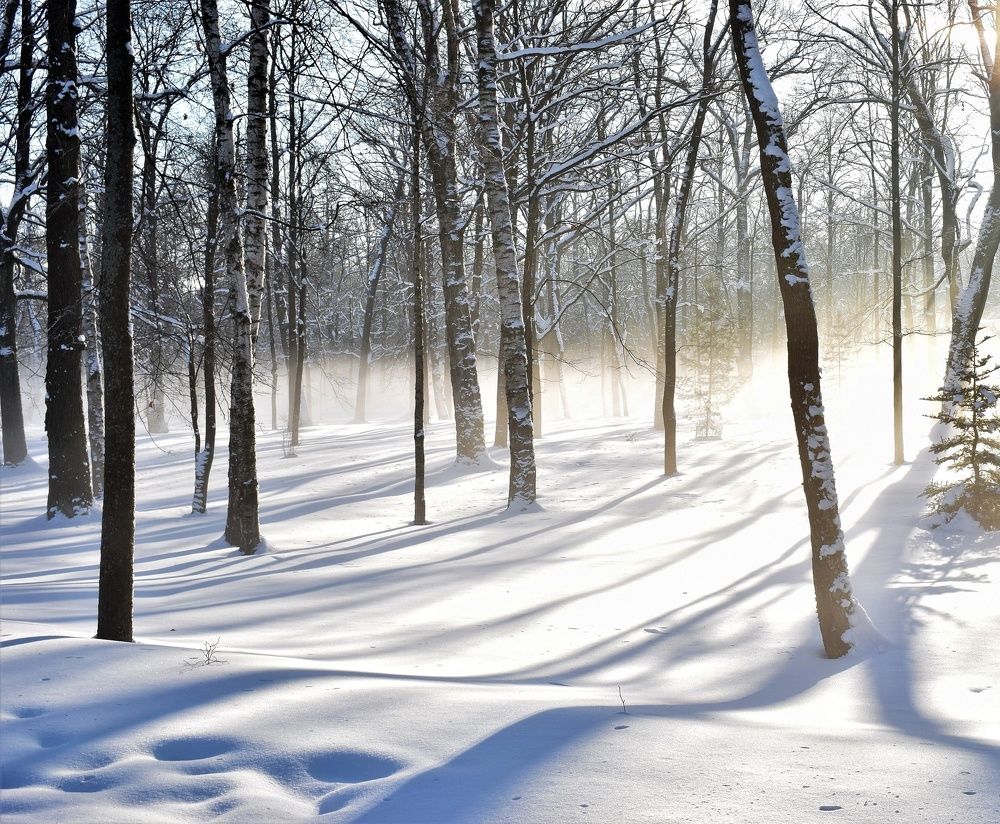 Photograph by Антонина Шабышева