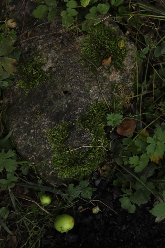 Photograph by Олеся Клименченко