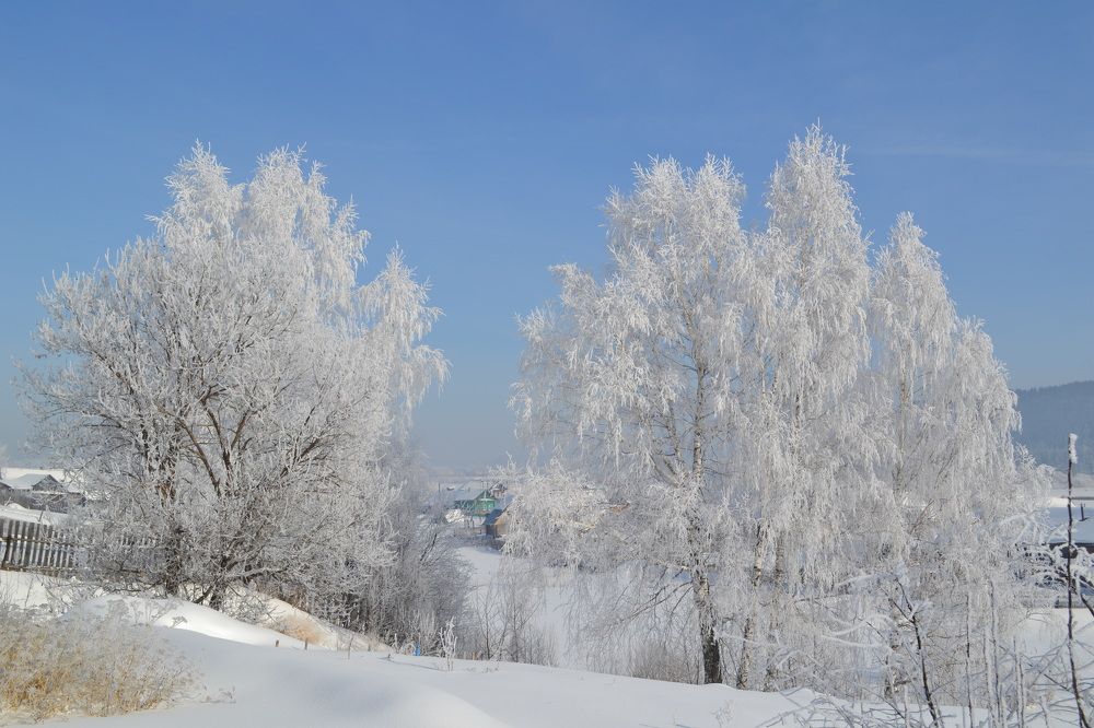 Photograph by Николай Худяков