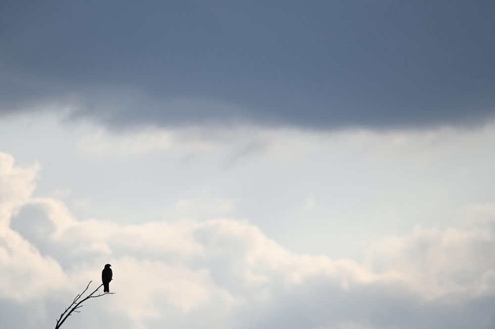 Photograph by Юрий Гау