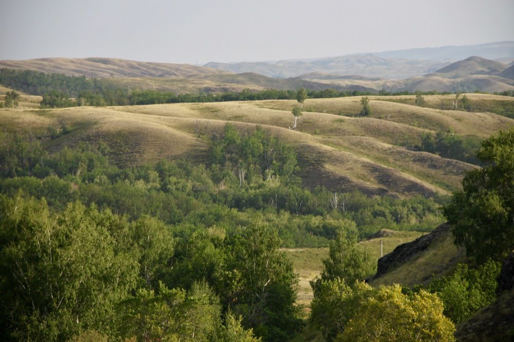 Photograph by Елена Шелуханова