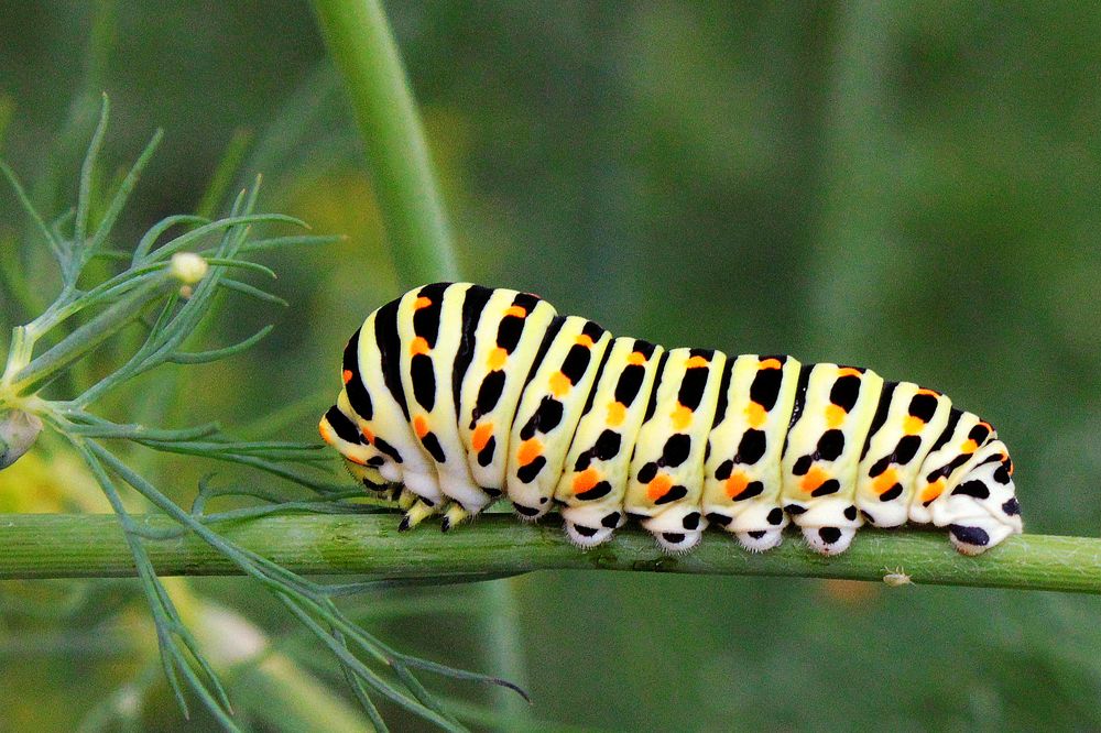 Photograph by Vitaliy Saposhnikov