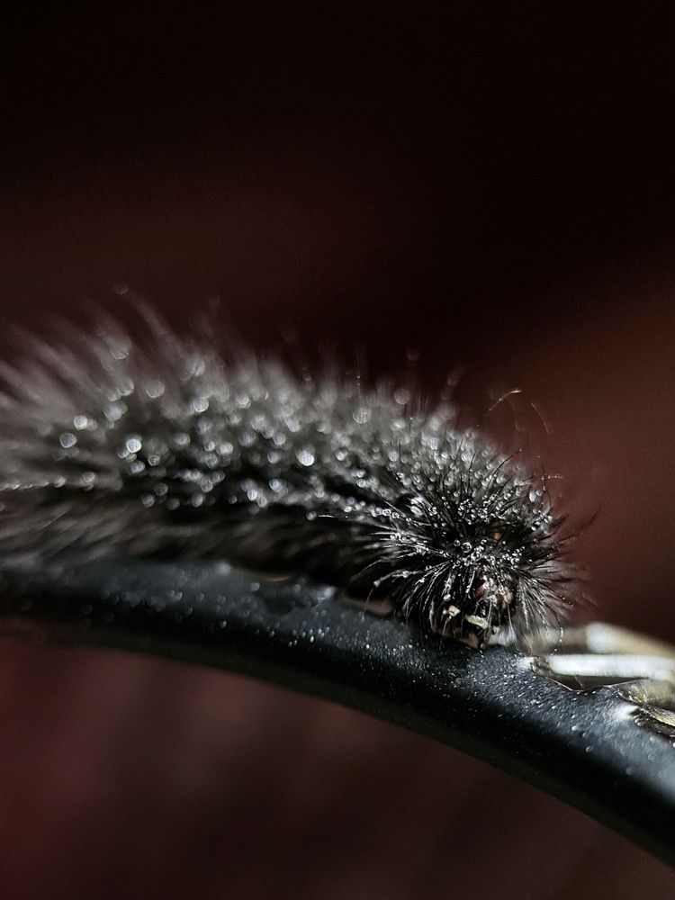 Photograph by Светлана Смирнова