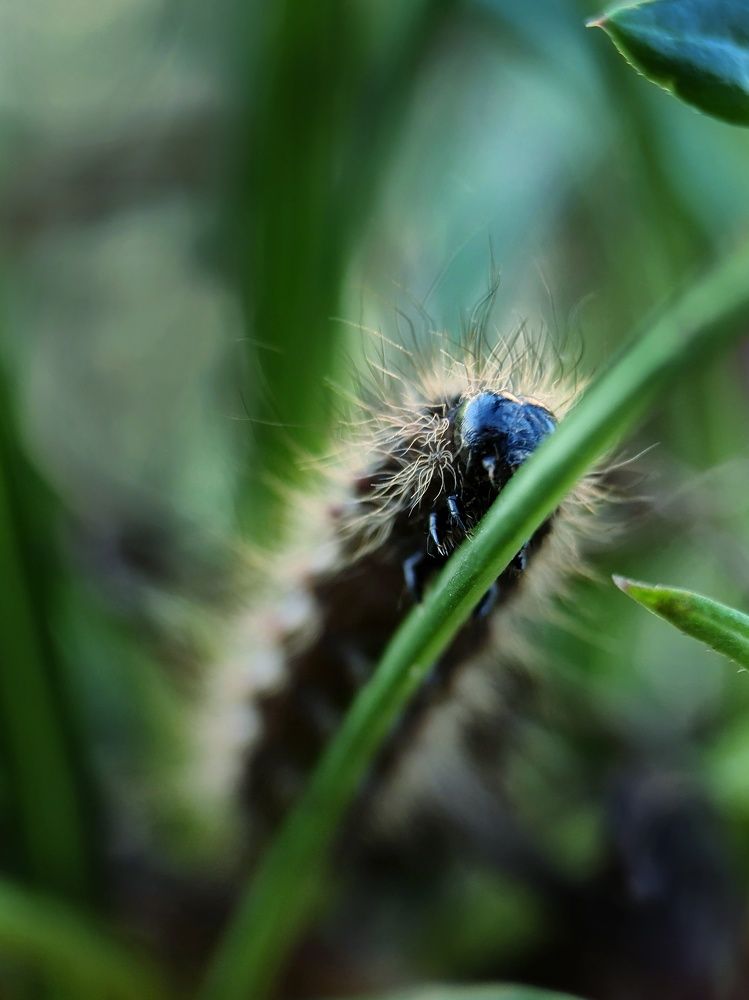 Photograph by Светлана Смирнова