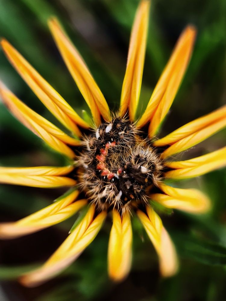 Photograph by Светлана Смирнова