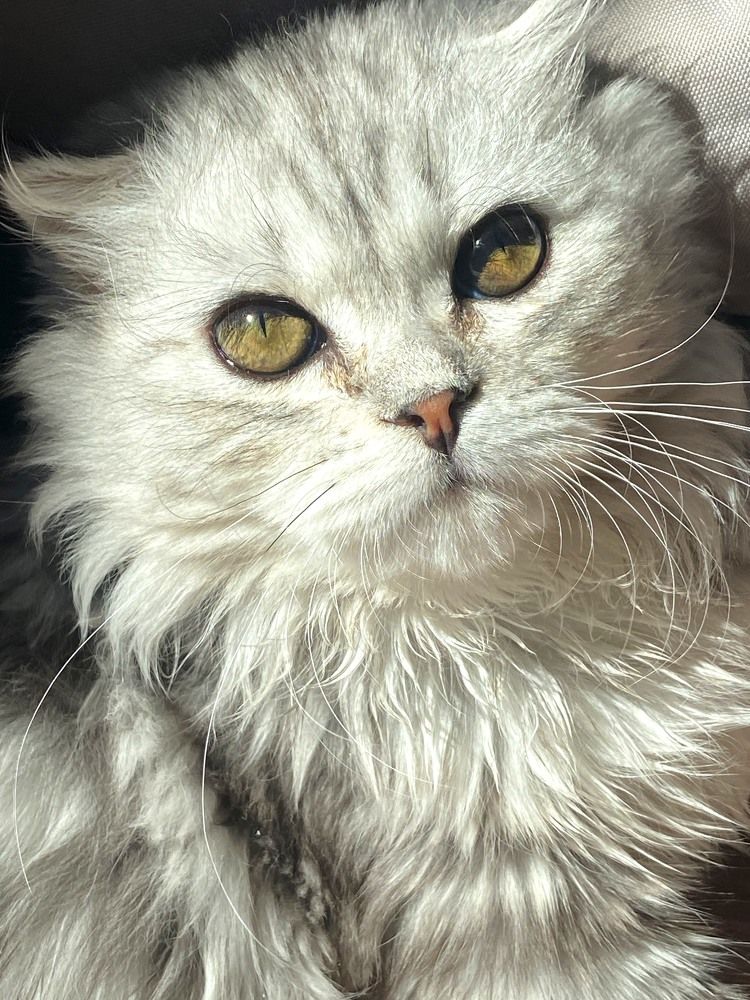 Photograph by Ксения Люлина