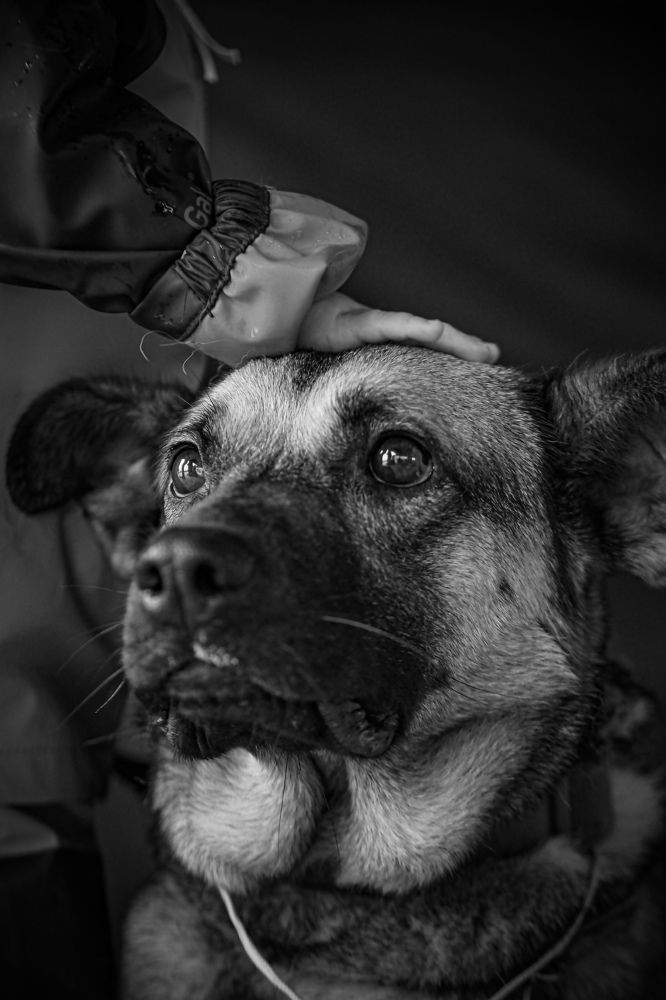 Photograph by Наталия Трофимова