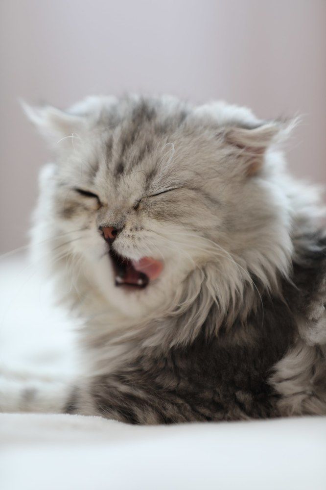 Photograph by Ксения Люлина